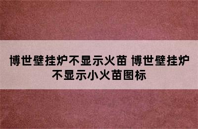 博世壁挂炉不显示火苗 博世壁挂炉不显示小火苗图标